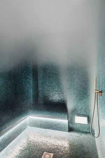 Steam Sauna